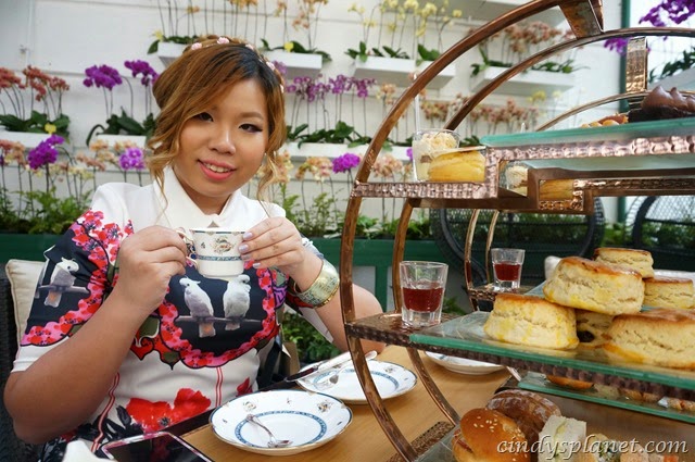 [The%2520Majestic%2520Hotel%2520Orchid14%255B2%255D.jpg.webp]