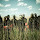 Slipknot