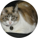 Image Google de Jacqueline THOMAZEAU