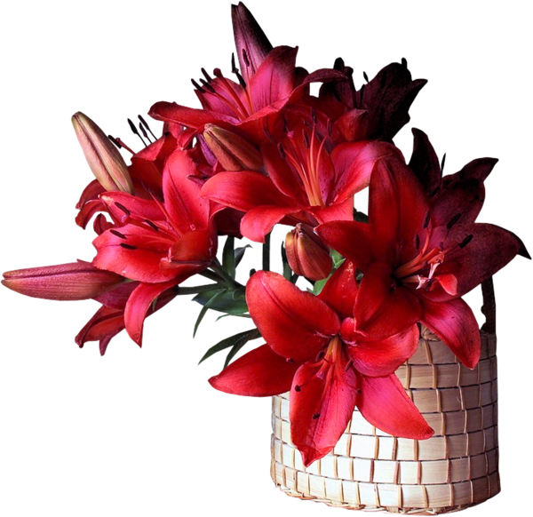 0_a9c20_23acc899_XL%255B1%255D.png