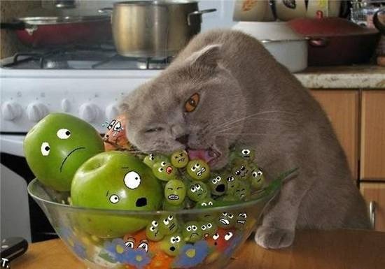 [Untitled1415%255B2%255D.jpg]