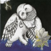 MAGNOLIA ELECTRIC CO, THE [Vinyl]