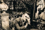 Morrisey
