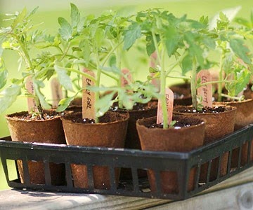 [clip_image001%255B3%255D.jpg]