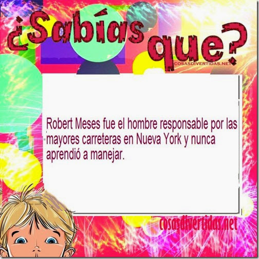 2 curiosidades cosasdivertidas net 6 5 2 curiosidades cosasdivertidas net 6 5
