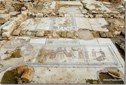 Sepphoris Orpheus mosaic, tb110106436 Sepphoris Orpheus mosaic, tb110106436