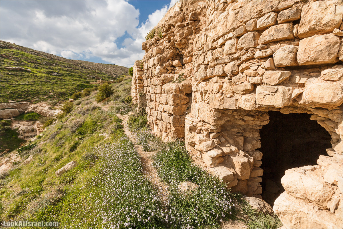 LookAtIsrael.com - Ущелья Харитона и Суккийская лавра в ущелье Ткоа | Wadi Tekoa and Hariton Cave | נחל תקוע מערת חריטון