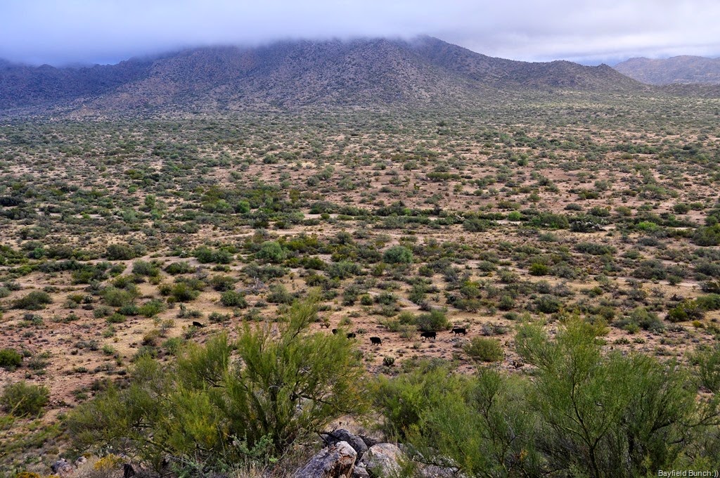 [DSC_0015%255B4%255D.jpg]