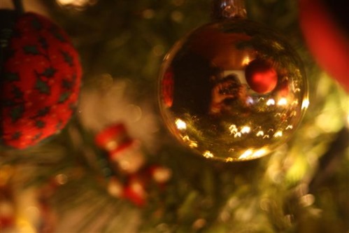 20081217 (1) (Small)