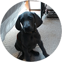 Lois Brodmerkle profile picture