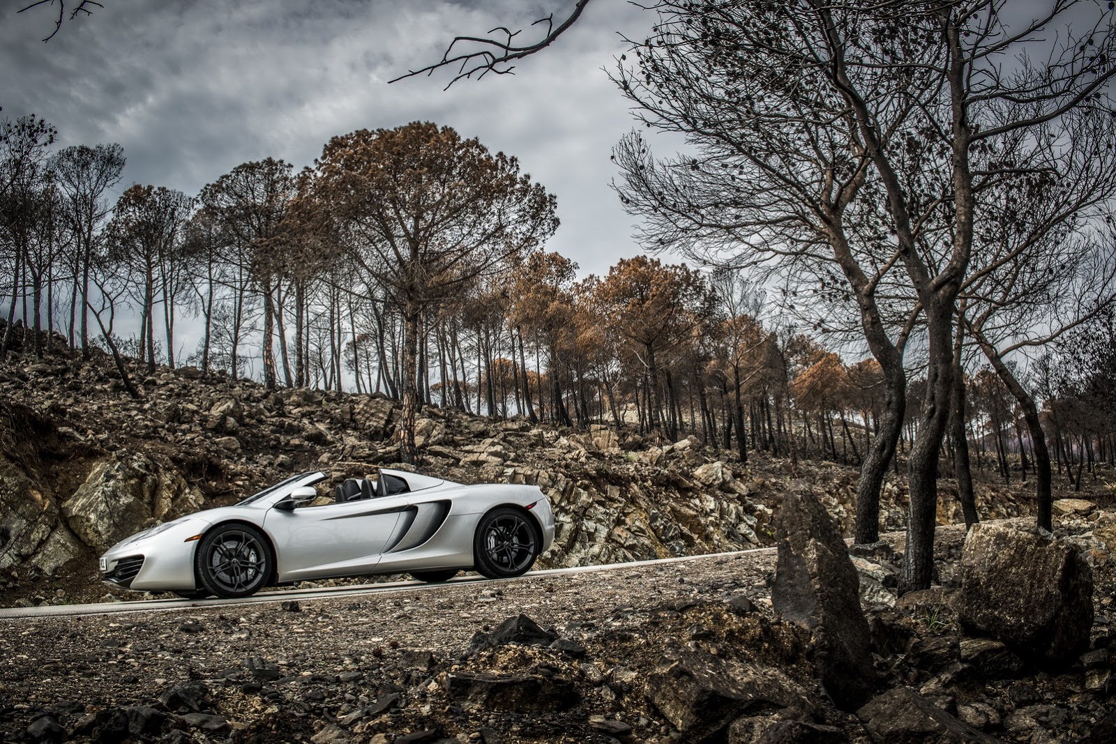 [McL-12C-Spider-9%255B2%255D.jpg]