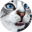 Image Google de Nathalie Costes