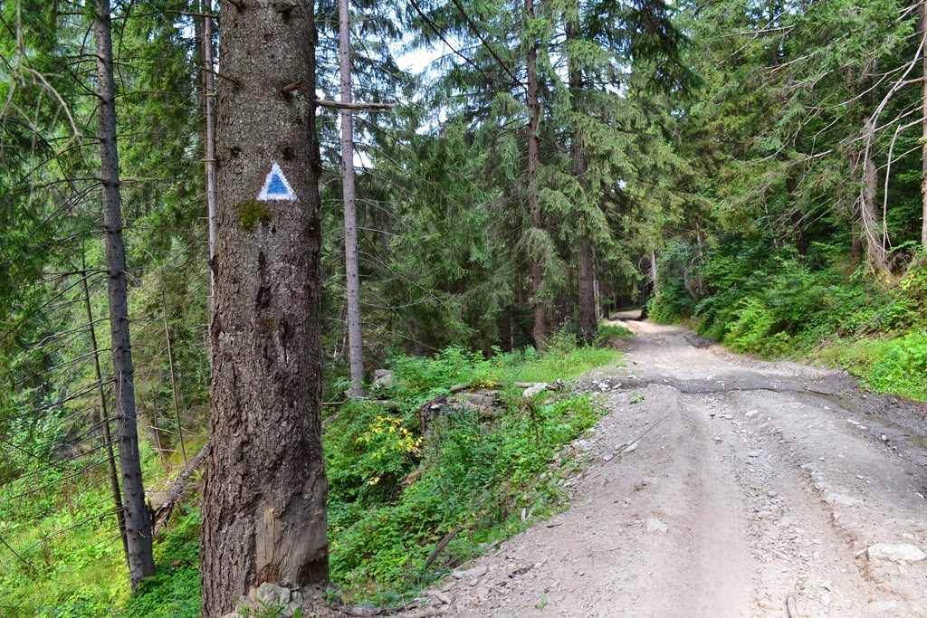 [DSC_9870%255B3%255D.jpg]