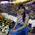 Trúc Quỳnh Phạm