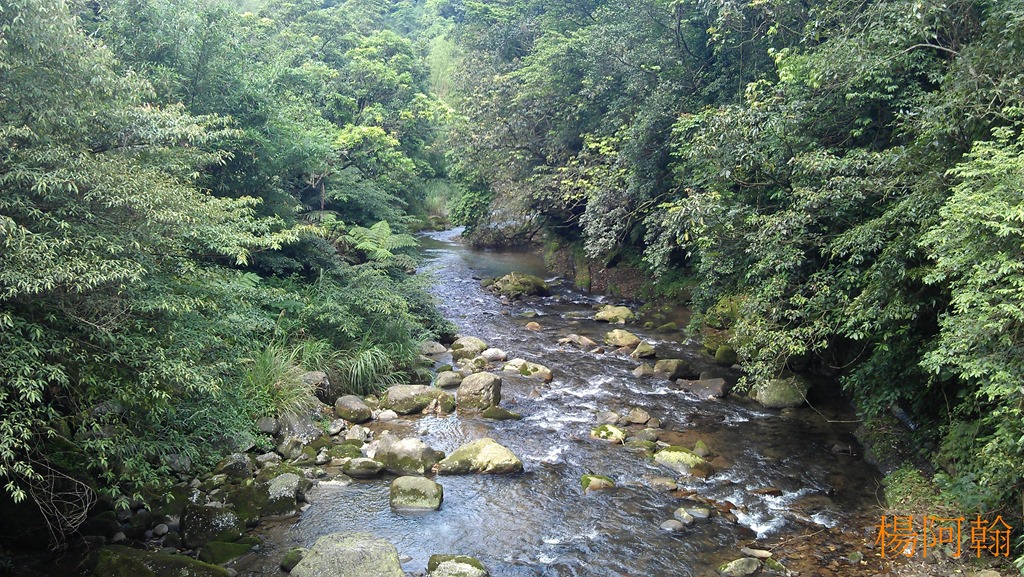 [0423-062---5.jpg]