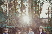 The Crookes