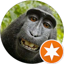 Image Google de Olivier TILLOLES