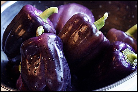purple peppers