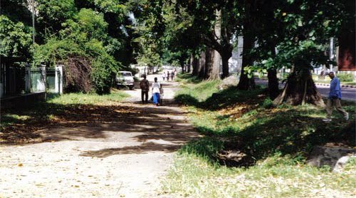 Trotoir du boulevard du 30 juin avant coupe d'arbres