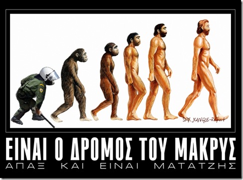 Matatzis-Evolution