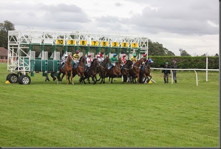 29_08_2014-17_56_49-3579Thirsk Race Course