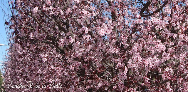 Badajoz, 9 de Marzo 2010