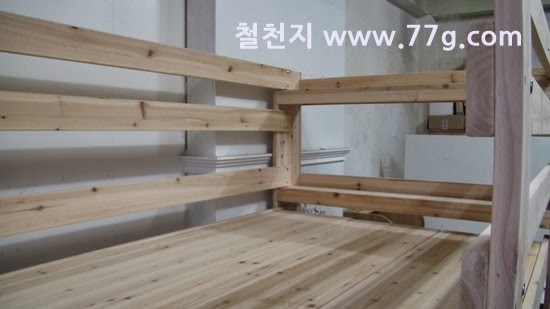 [77gDSC05158-20131104-1652343.jpg]