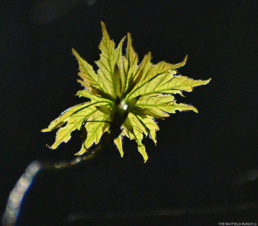 [DSC_0011%255B6%255D.jpg]