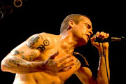 Rollins Band