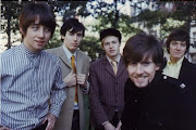 Hollies