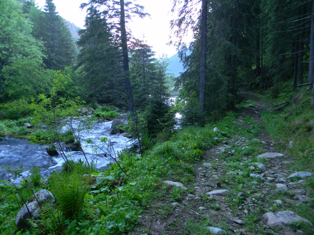 [DSCN09753.jpg]