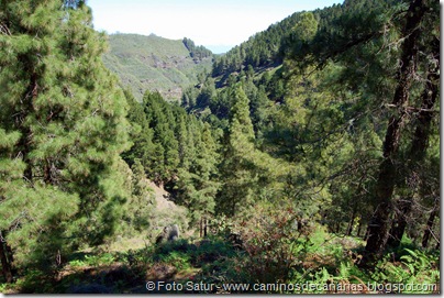 5606 Barranco de Crespo 5606 Barranco de Crespo