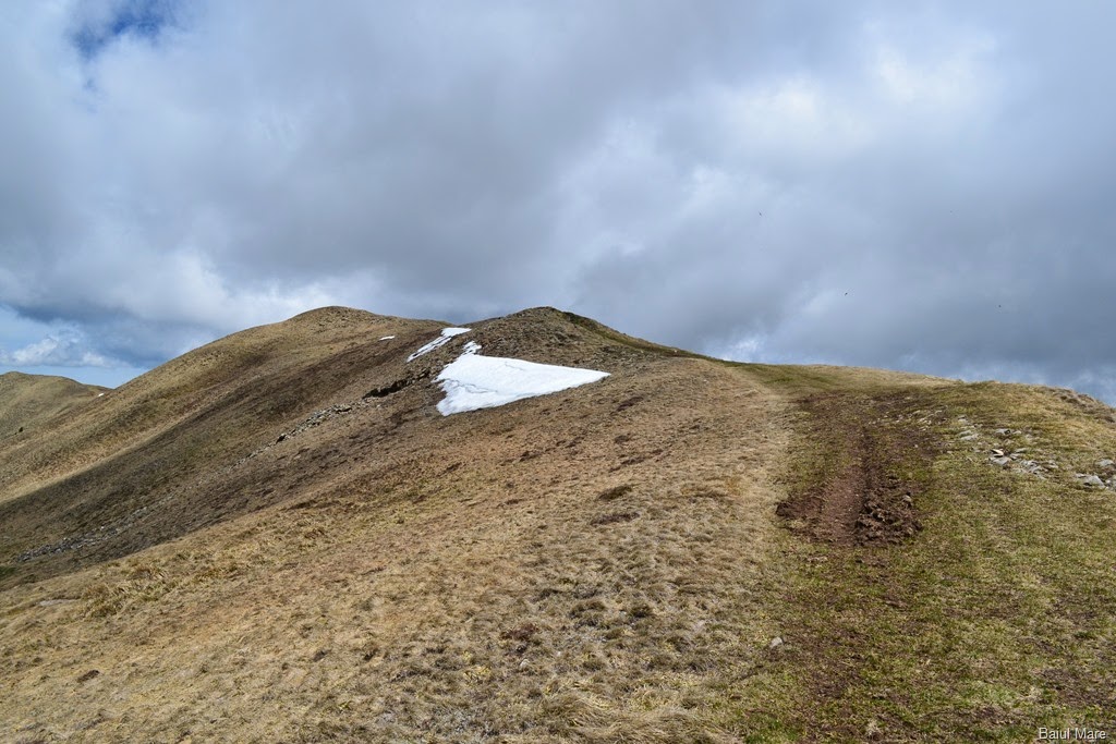 [DSC_95682.jpg]