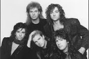 Glass Tiger