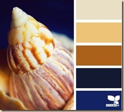 color scheme shelled hues