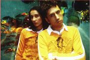Aterciopelados