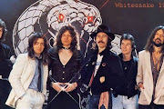 Whitesnake