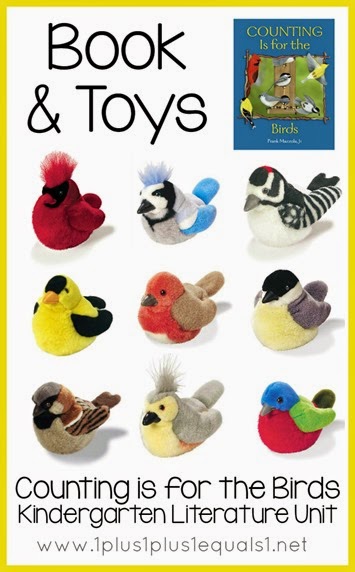 Bird Toys and Books