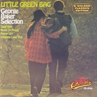 Little Green Bag