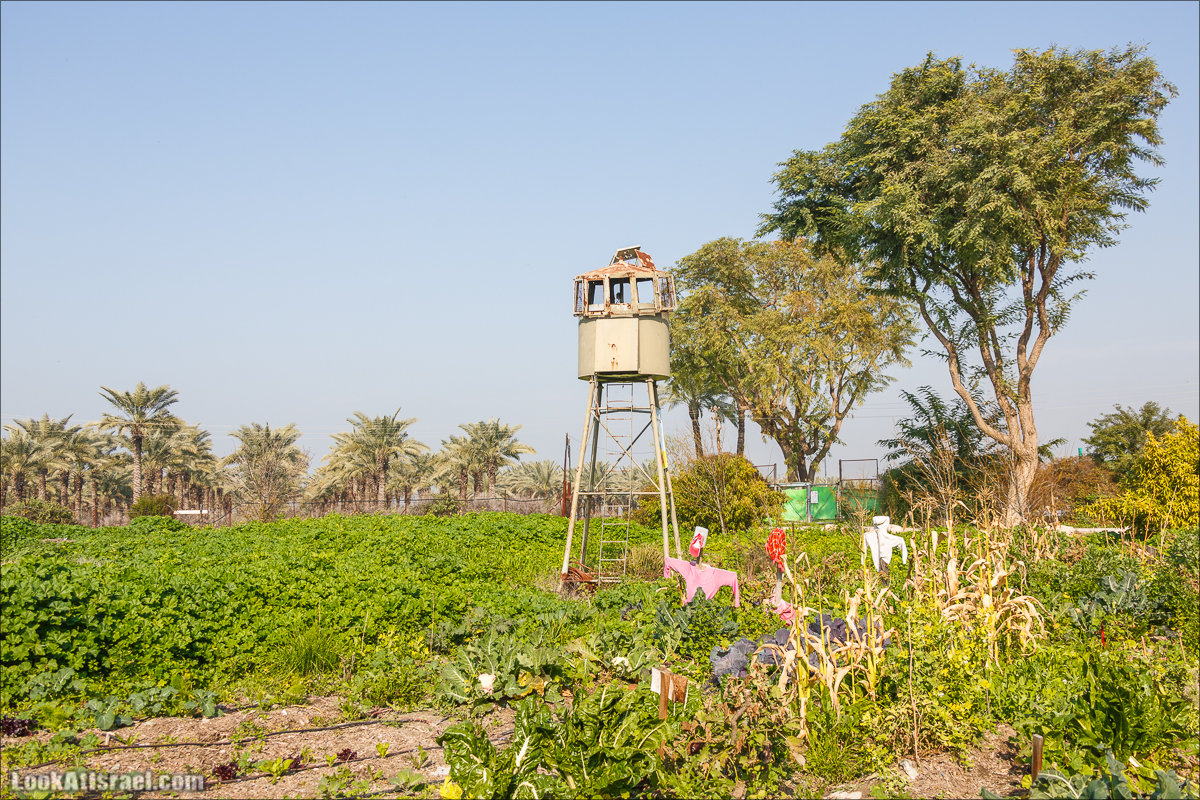 LookAtIsrael.com - Киббуц Кфар Рупин | Kibbutz Kfar Rupin | קיבוץ כפר רופין