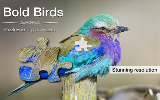 Bold Birds Jigsaw Puzzles Demo