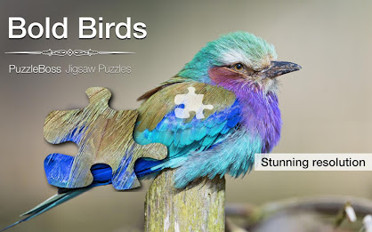 Bold Birds Jigsaw Puzzles Demo poster 1