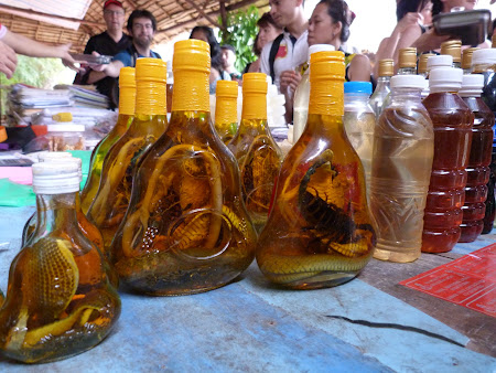 Tur Delta Mekongului: brandy vietnamez cu scorpion inauntru