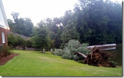 Storm blew tree down at house