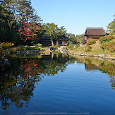 依水園,紅葉(PK3_0697,F10,16mm,K-3)2014yaotomi_.jpg