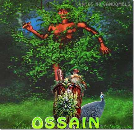 Orixá Ossain do Candomblé é dono das folhas - ervas-ewe - isaba - Osanhe - Osonyn