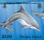dolphins300c