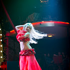 IMG_9964.jpg