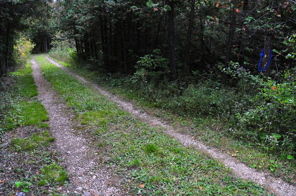 [DSC_0056%255B3%255D.jpg]