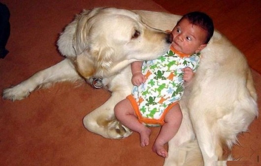 [dogs_080%255B2%255D.jpg]